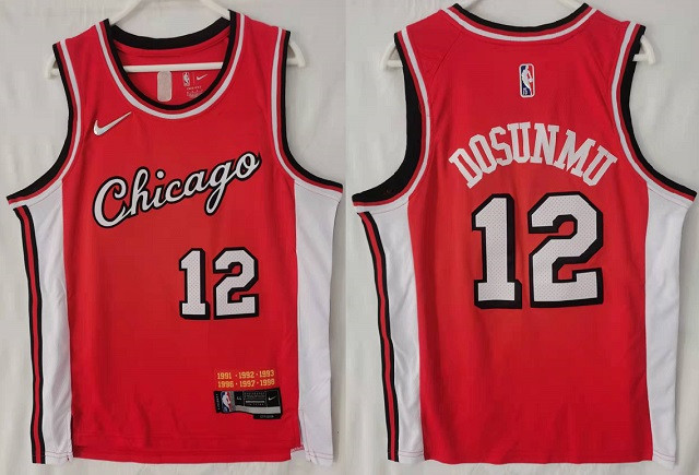 Chicago Bulls Jerseys 29